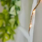 Apartament Le 38 F2 De Charme Renove Proche Vieux-marche Rouen