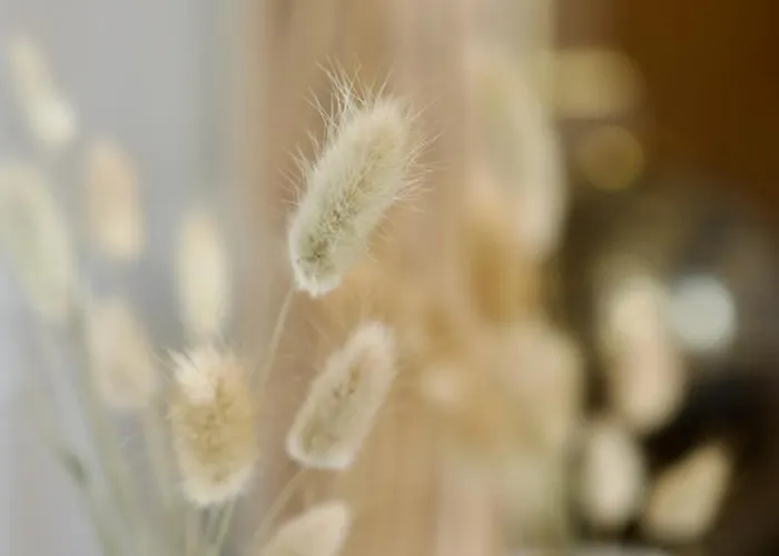 Le 38 F2 De Charme Renove Proche Vieux-marche Апартаменты